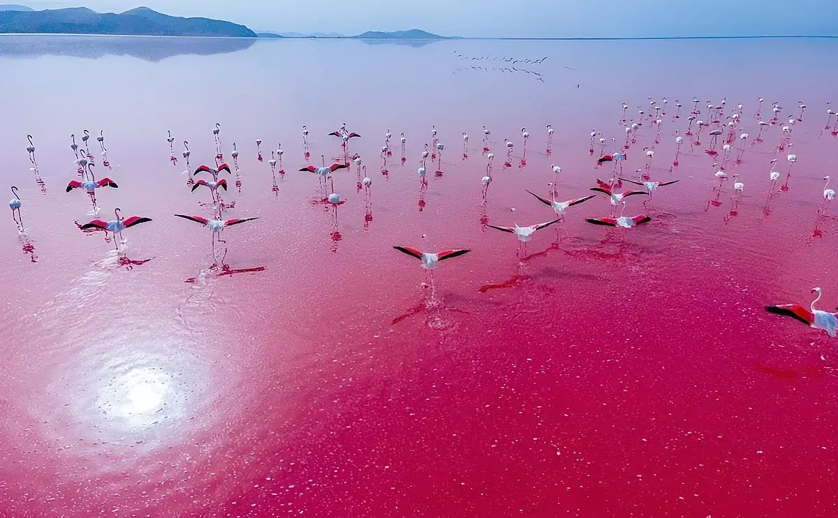 maharloo lake