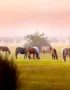 Bojagh National Park