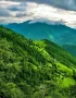 Arasbaran Forest