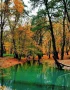 Golestan National Park