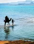 naz island tours