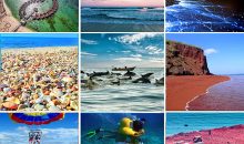 Beach & Island Tours
