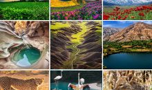 Nature & wildlife tours